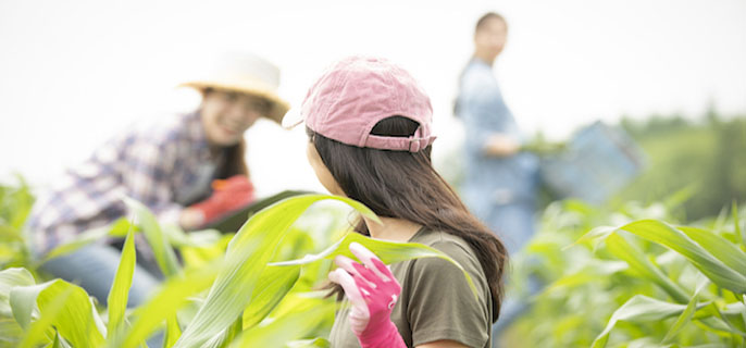 MBTI性格测评全方位指南：从工具演变到本土化应用