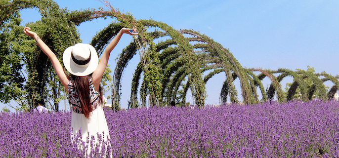 解码MBTI的8个性格代码：你真的读懂这些字母了吗？